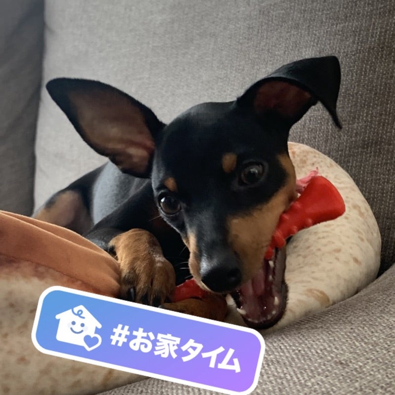 そがねっち！
