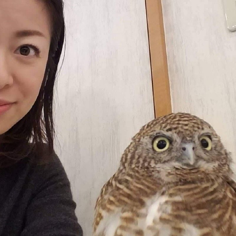 長谷川けいこ