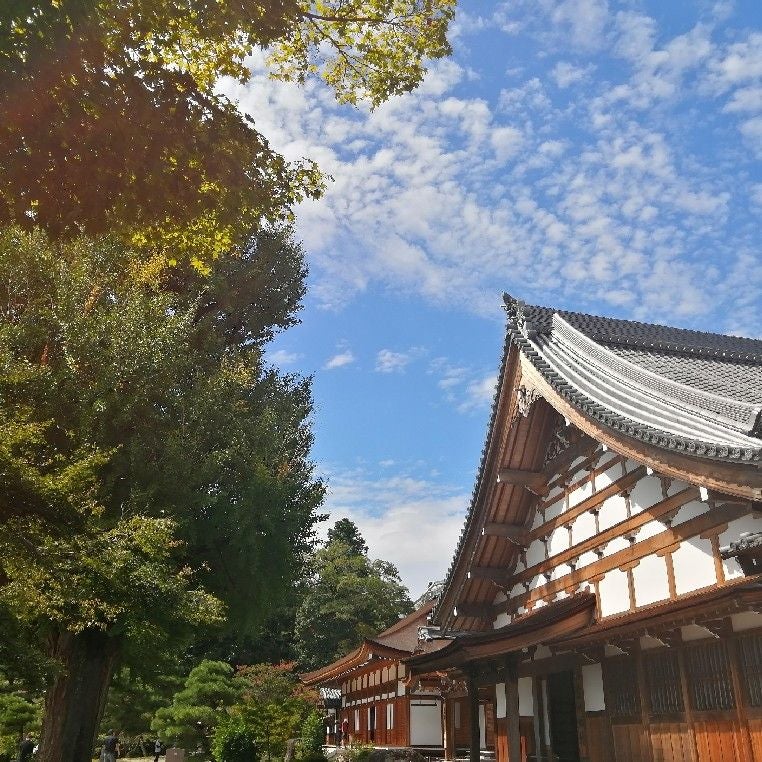 yuki-to