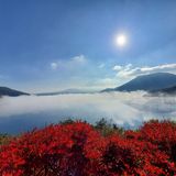 溝口 俊雄