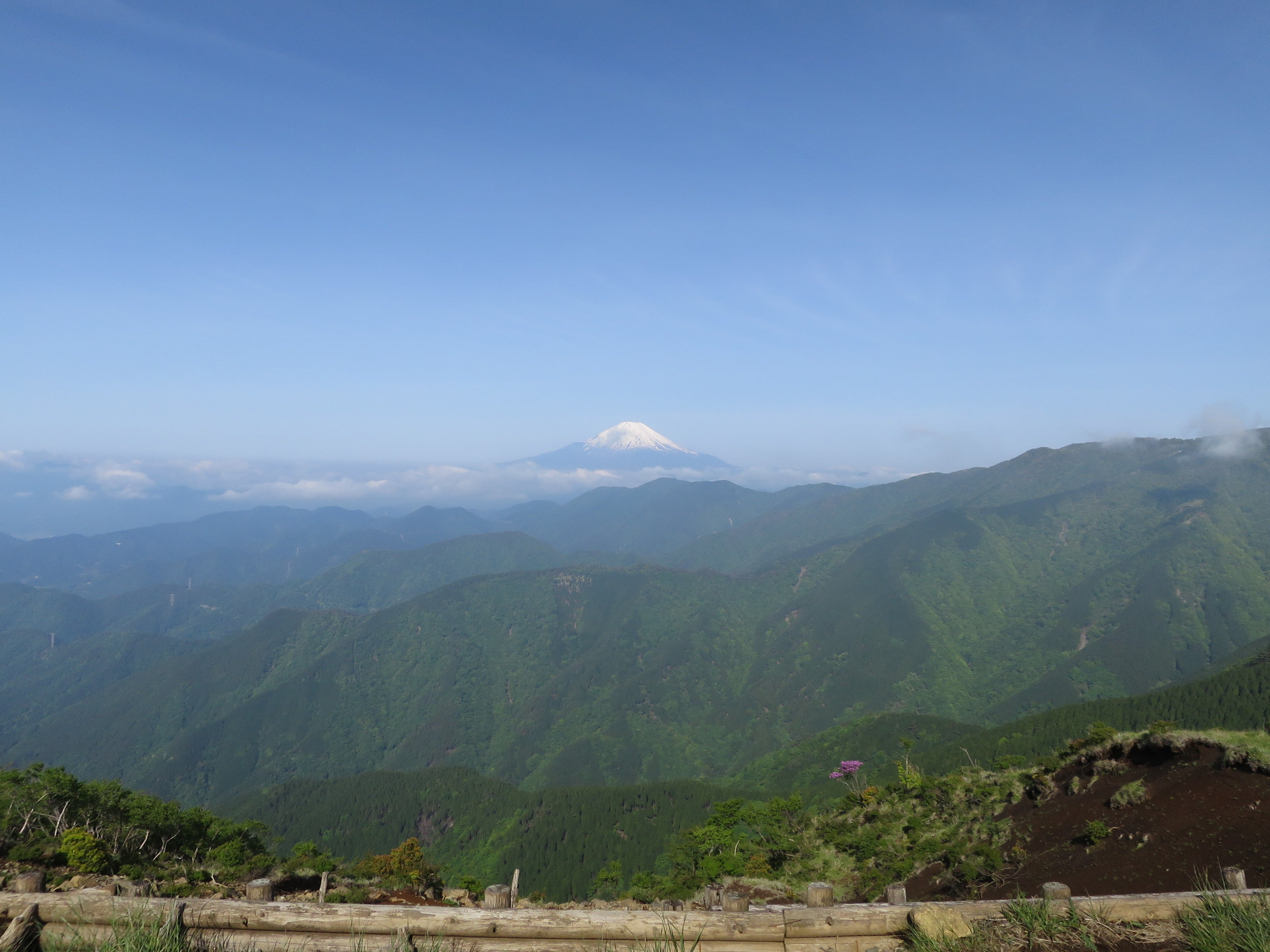 まるやまだ　けいすけ