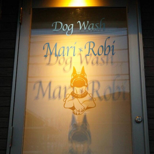 DogWash Mari＊Robi
