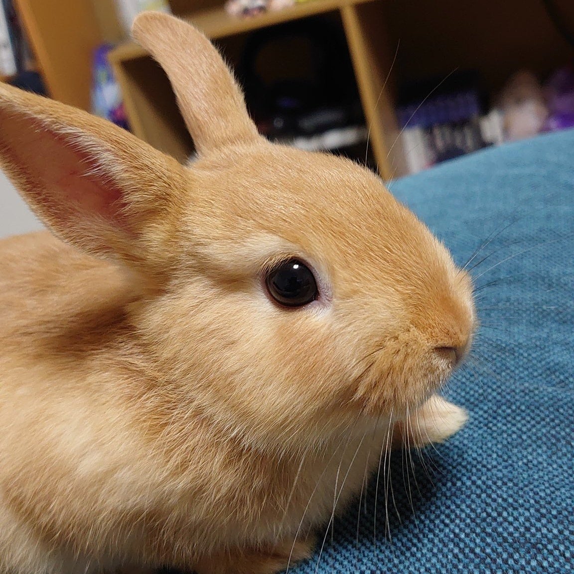 ぬーーん