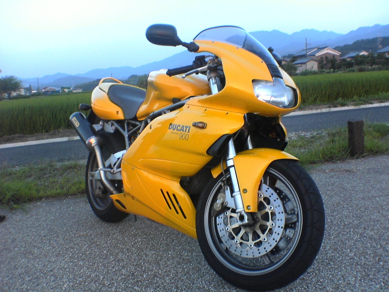 CORSE＠樹