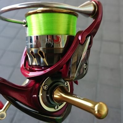 kenta_ajing