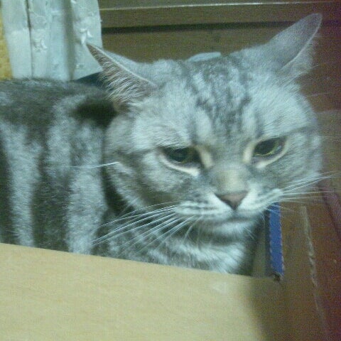 makiko.inui