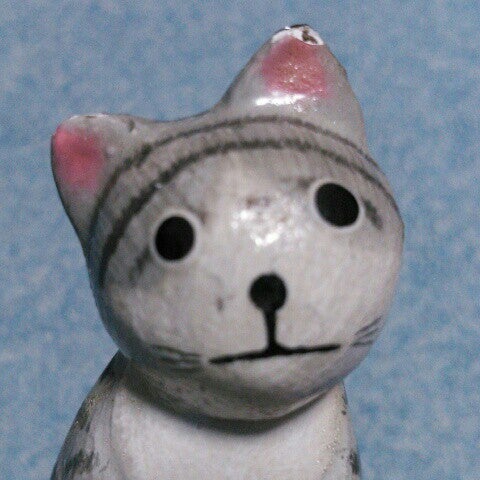 shimacat7