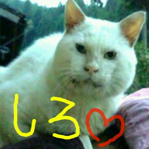 朋友(* &acute; &forall;｀*)