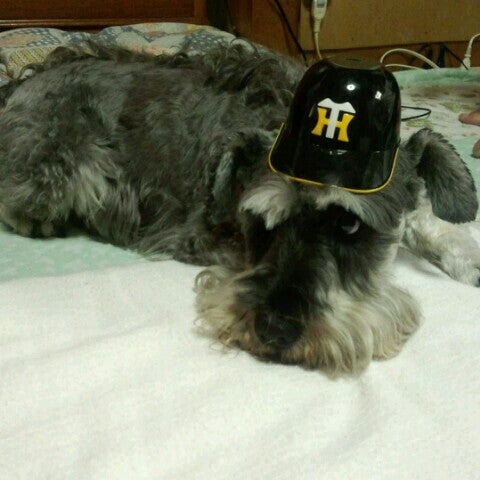 H・KAZU