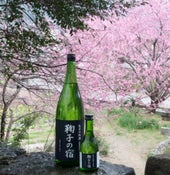 有限会社しらい酒店