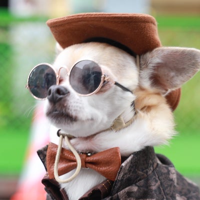 株式会社リバード