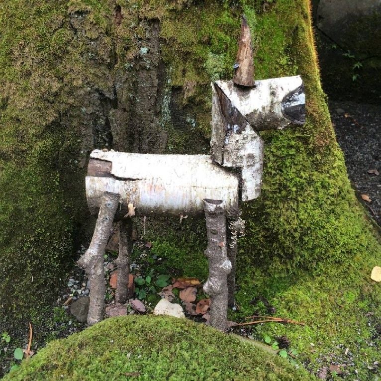 キクチアキノリ