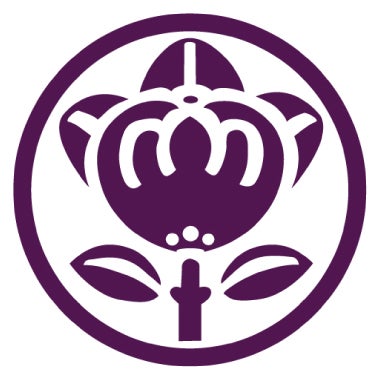京都山城縮