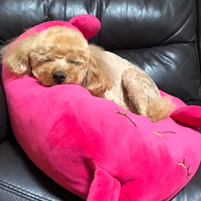 えくんまま