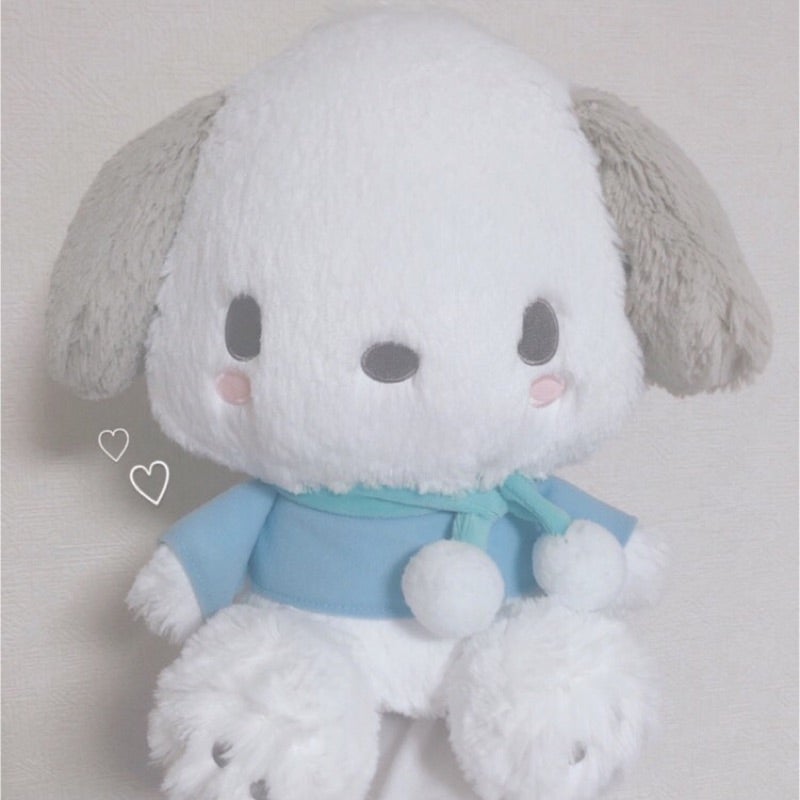 ポチャッコ　夢の超BIGふかふかぬいぐるみクッション　激レア品 ポチャッコと暮らそう☆夢の超BIGふかふかぬいぐるみクッション