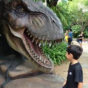 あさかわ れいな