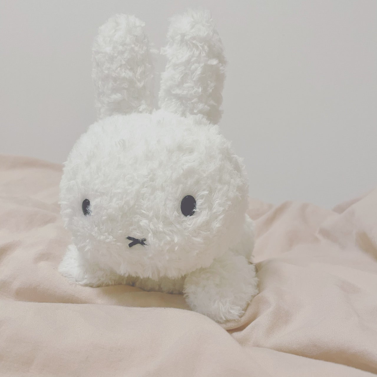 makuake ウィッシュミーメル