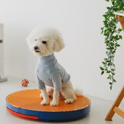 ペット用トイレ Dogslo – Makuake STORE