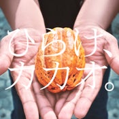 明治 ひらけ、カカオ。