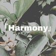 Y.Harmony