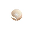 LittleLight TEAM