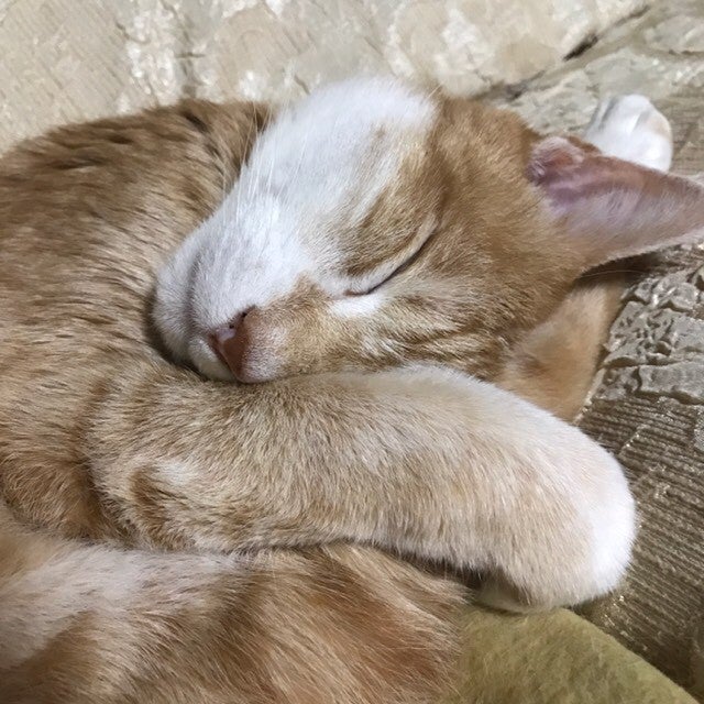 ハナミカ
