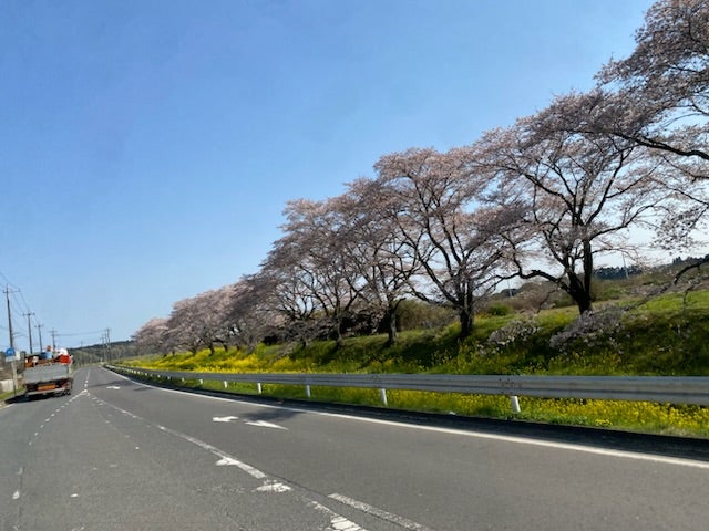 ひろたか-ｆ14