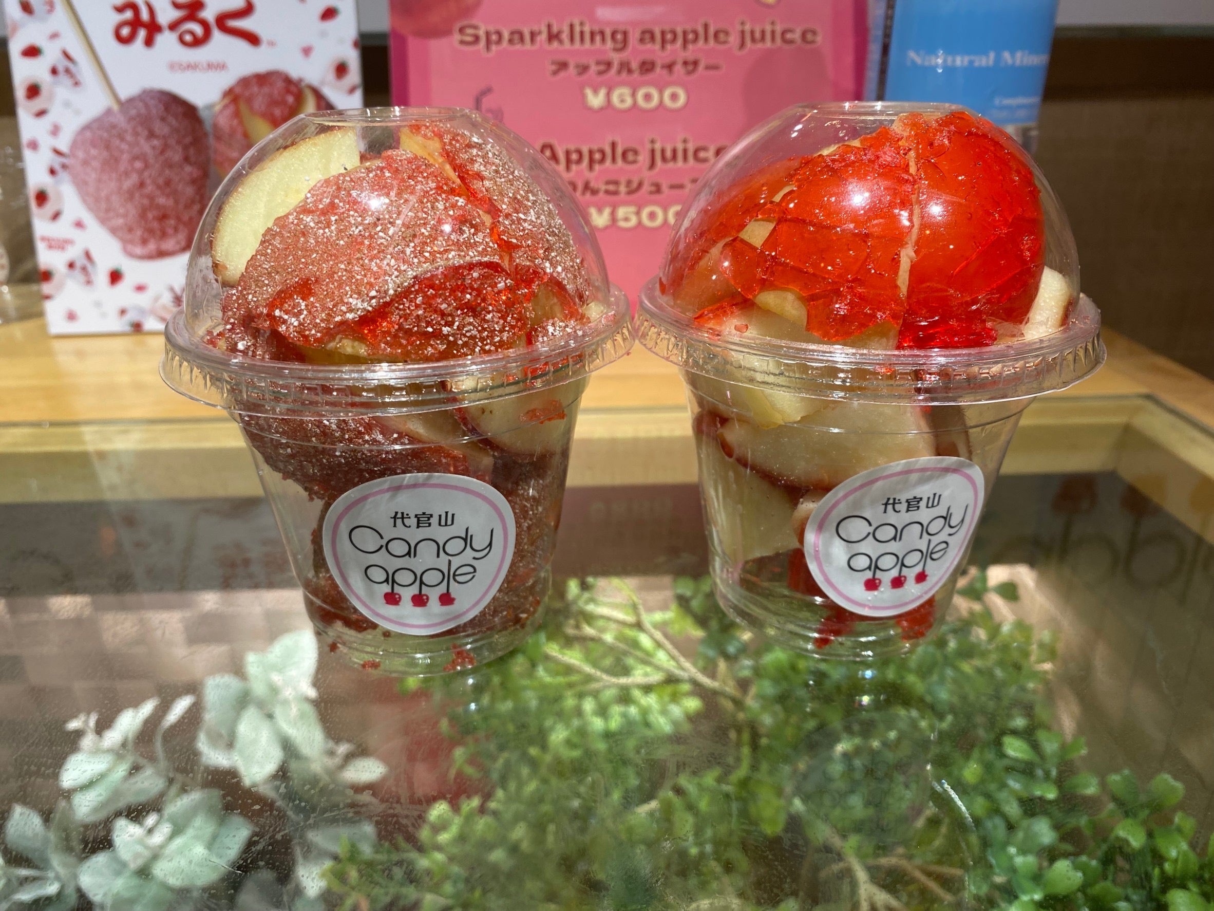 ₍ᐢ⑅•ᴗ•⑅ᐢ₎ ❦⃰*明日華❦⃰
