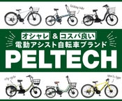 株式会社PELTECH