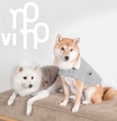 清川(株)  DADADA/novino