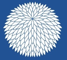 まる菊