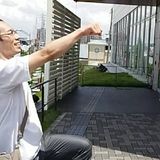 樹砂164
