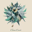 Canna Care