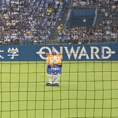 穴の空いたレンコン