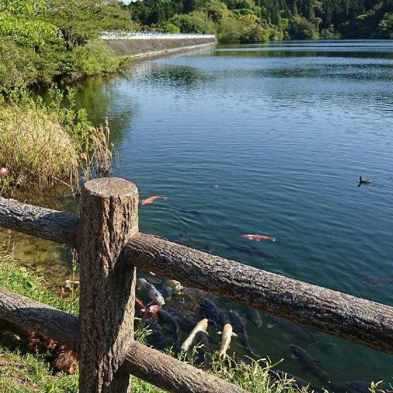 シリーズ史上最小コンパクトなのにパワーはプロ級！家中綺麗になる