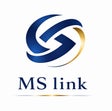 MSlink