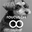 FOCUS ON