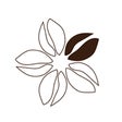 自家焙煎珈琲 cafe SAKUYA